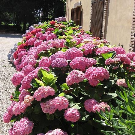 Montecorneo Country House Ponte San Giovanni Exterior photo
